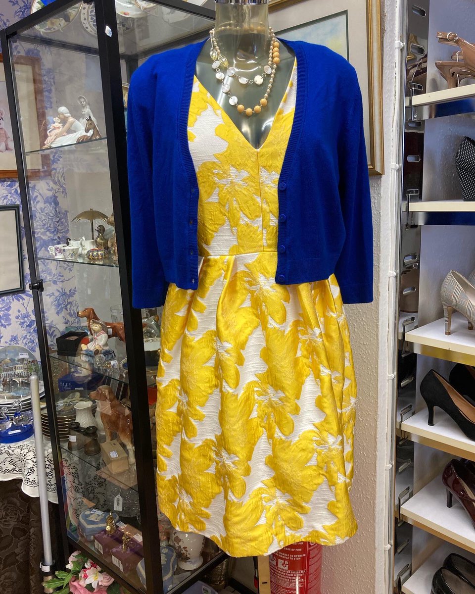 ClarePoil's tweet photo. RSPCA shop Buckingham showing support for Ukraine.  #RSPCA #RSPCAChiltern #RSPCAChilternshop #Buckingham #Tingewick #charity #charitybargains #yellowandblue #Ukraine https://t.co/S3V4Lqi0Tv