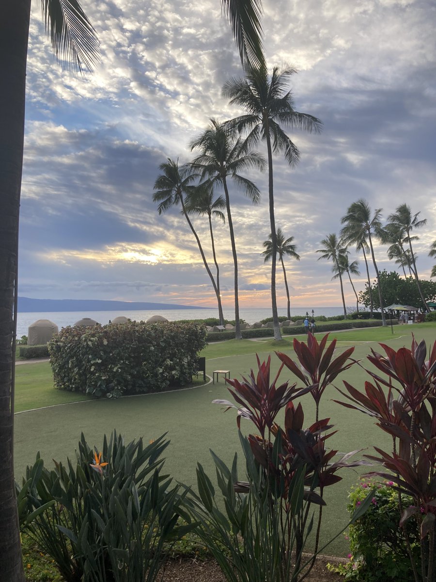 VUHearingSpeechPhD tweet media