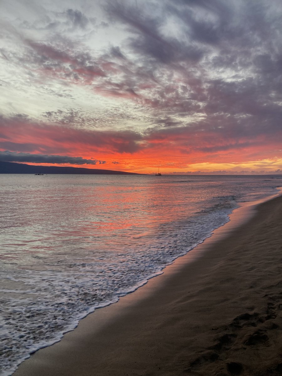 VUHearingSpeechPhD tweet media