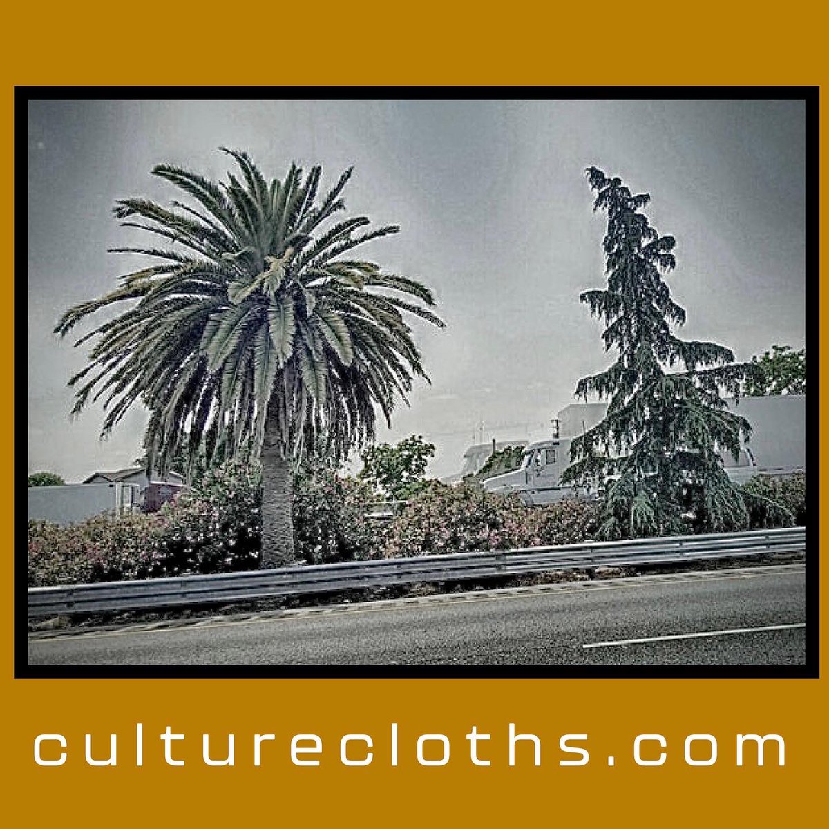 culturecloths's tweet photo. Pine &amp; Palm Hoodie

This piece showcases our ode to Fresno, Ca: where the pine &amp; the palm meet

With the pine tree representing Northern Cali &amp; the palm tree So Cal, we pay tribute to the historical marker along highway 99 in Central Cali

Purchase at https://t.co/d5sCvBwXLQ https://t.co/AArSlrwiOG