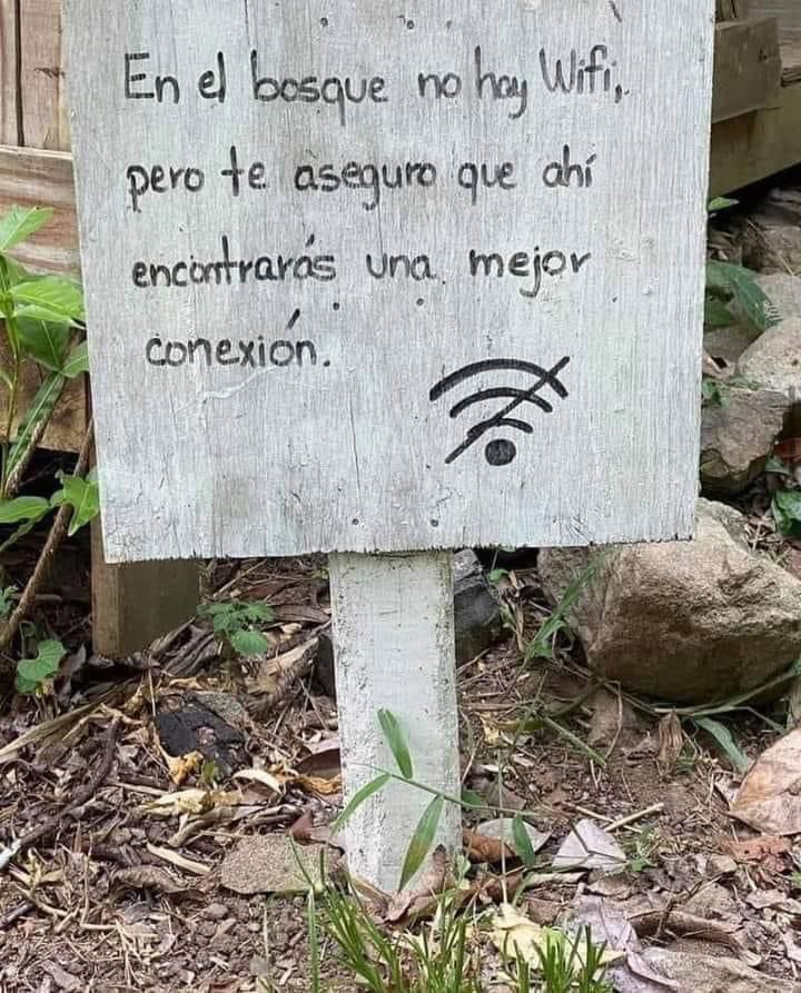 GreenCO2Mx's tweet photo. #FelizMartesATodos https://t.co/PVnIyPNjfV