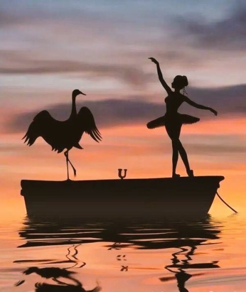 Alessandro ⚓️ NO DM tweet media