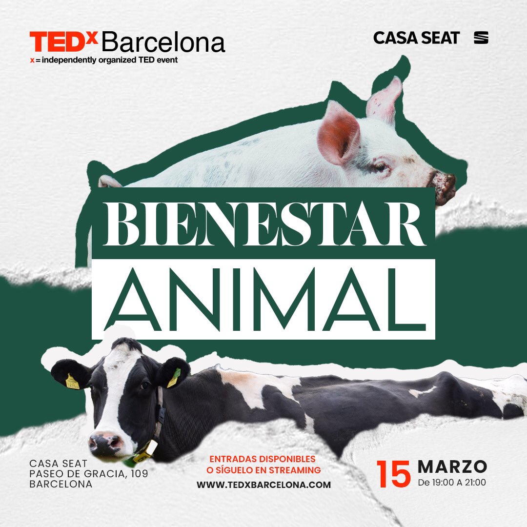 Podéis seguir el evento vía streaming 💻👉 m.youtube.com/watch?v=q3NhBB…