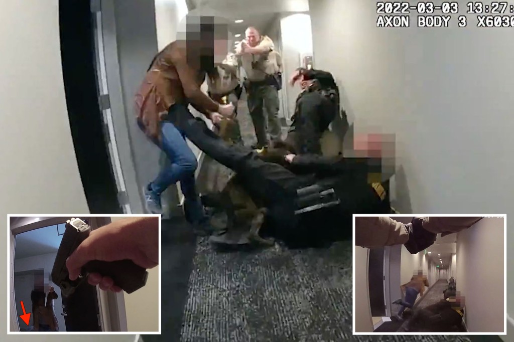 nypost's tweet photo. Horrifying video shows woman shot dead after stabbing cop serving eviction notice https://t.co/1blPUKDgPl https://t.co/Hkc1c5gmX7