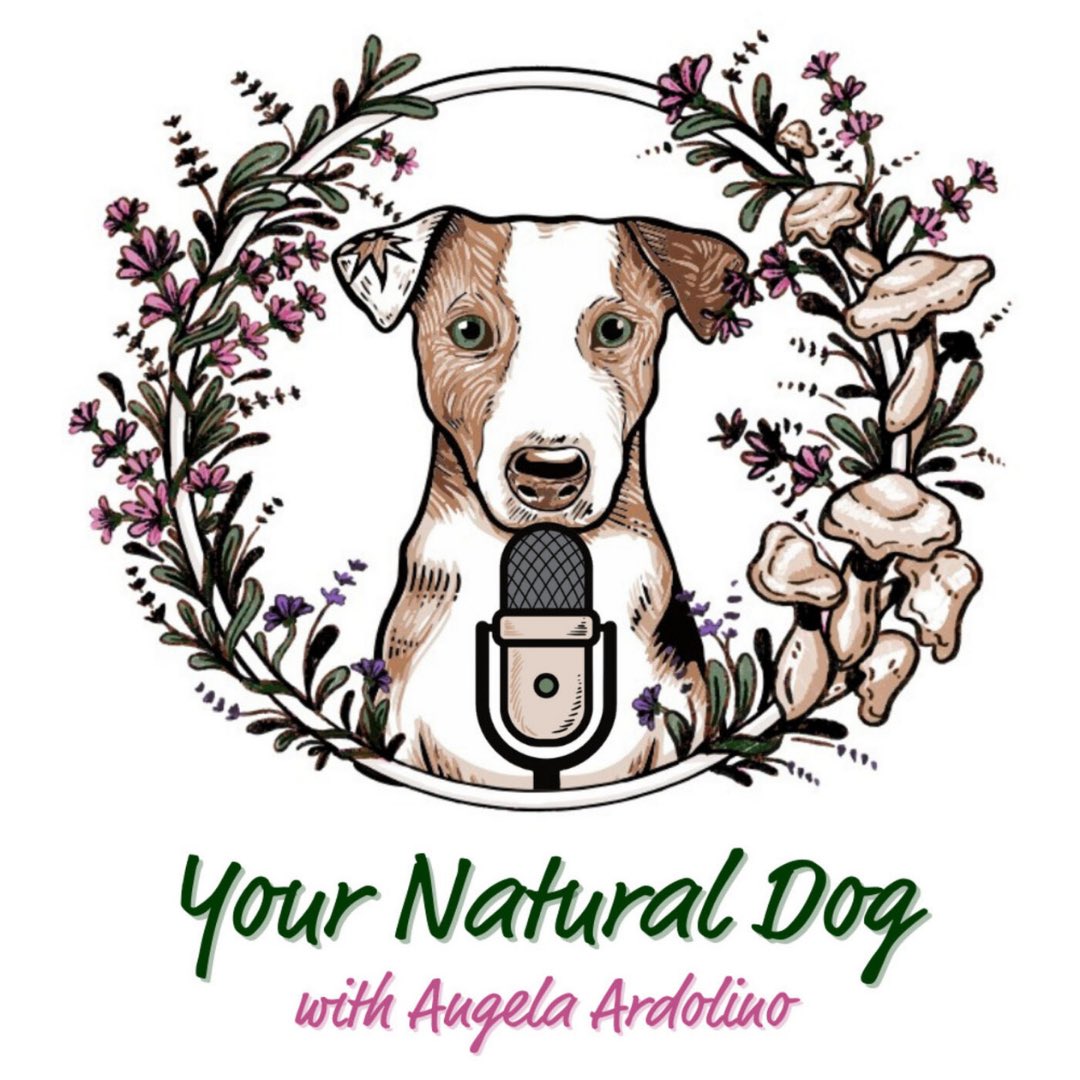 critterfacts's tweet photo. We welcome the newest podcast to the CritterFacts Radio Network: Your Natural Dog!

Hosted by Angela Ardolino, Your Natural Dog focuses on educating pet parents on the best ways to care for your pet holistically.

Check out the podcast on https://t.co/hBnHKXUJUc https://t.co/EBBuA8s6HJ