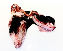 lmgastronomia's tweet photo. Chipirones Confitados y Caldo Negro
#Nerua
#JoseanAlija
Una manera muy, pero que muy distinta de ver una receta histórica. Sin dejar de ser unos chipirones con salsa negra, no tienen absolutamente nada que ver, ya que rompen sustancialmente en el tratamiento del ingrediente https://t.co/saJ1KUbQXE