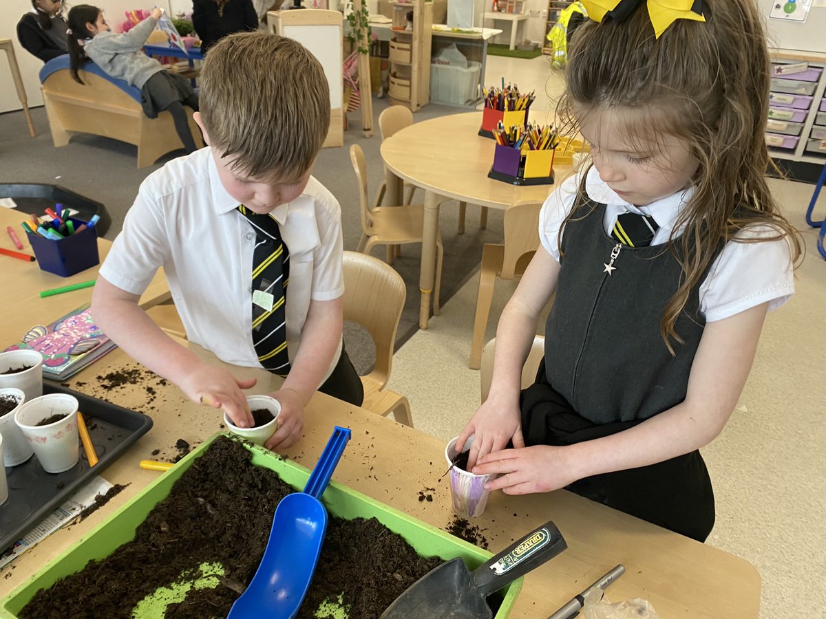 stclarespserc's tweet image. Primary 1 have been learning about the life cycle of plants as part of STEM week. This year the theme is Growth so we decided to grow our own garden together. #ERCSTEM
