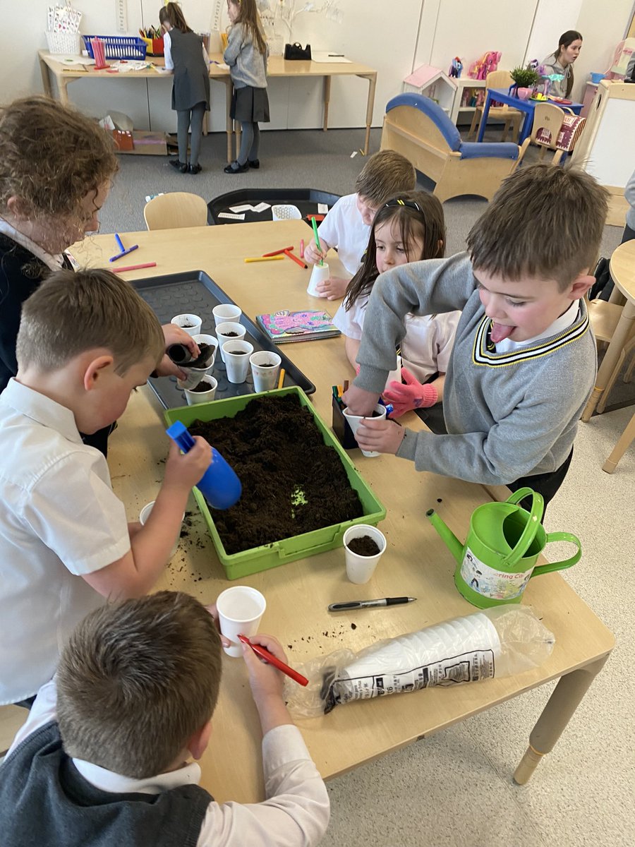 stclarespserc's tweet image. Primary 1 have been learning about the life cycle of plants as part of STEM week. This year the theme is Growth so we decided to grow our own garden together. #ERCSTEM
