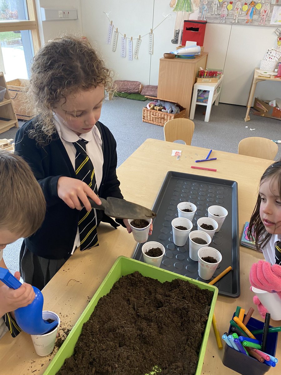 stclarespserc's tweet image. Primary 1 have been learning about the life cycle of plants as part of STEM week. This year the theme is Growth so we decided to grow our own garden together. #ERCSTEM