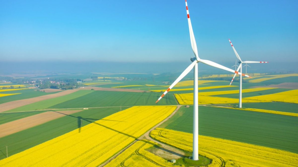 AybanizIsm's tweet photo. Thanks to the newly executed green energy projects, the share of renewable energy in the installed capacity of 🇦🇿’s electricity will increase from 16.5 % to 21.2 %.
More green energy projects are to be implemented in Karabakh too!
#BuildingBackBetter
#BuildingBackGreener https://t.co/VIu14DFEys