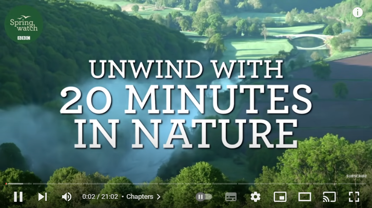 🌳🐦Unwind from the pressures of the day with 20 minutes in nature, courtesy of <a href="/BBCSpringwatch/">BBC Springwatch</a>.

Looking at nature and listening to natural sounds are known to reduce feelings of stress and help us relax.

bit.ly/BBCSpringWatch… ⤵️