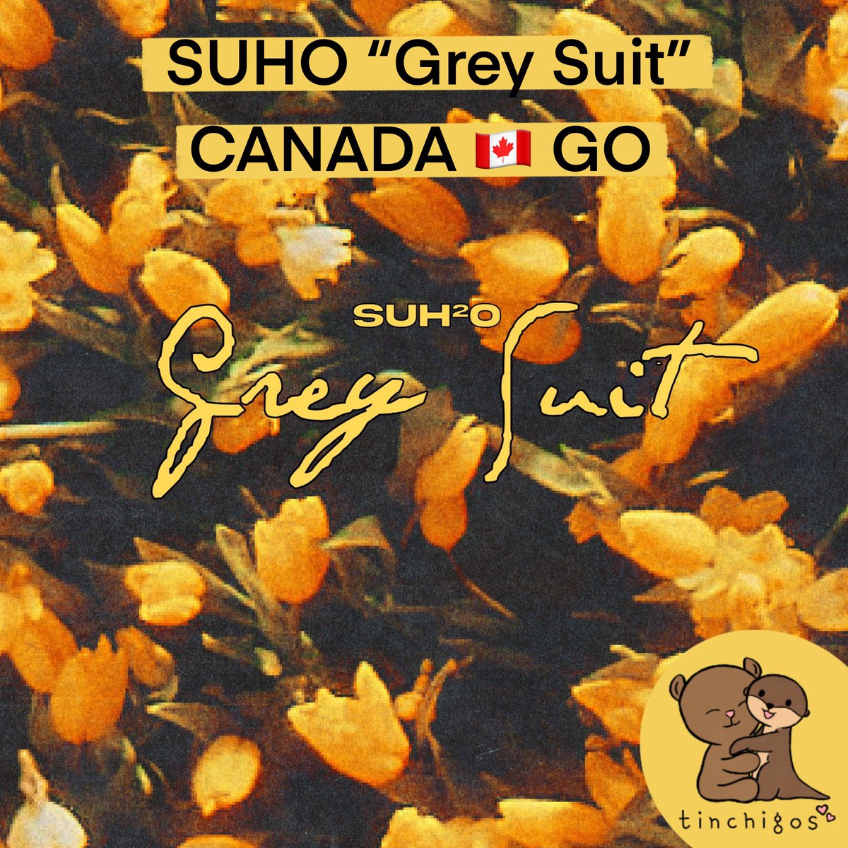suho 2nd mini album “grey suit ” canada go #tinchigos 

3 payments: 
💐: $24CAD each (includes ems)
💐: missing ems 
💐: customs + doms (if applicable) 

unsealed/sealed options 
deadline: APRIL 2, 2021 @ 9PM CST

no cap for now!!

form: docs.google.com/forms/d/e/1FAI…