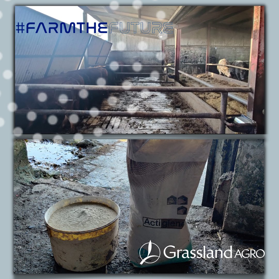 One of our drystock customers who has been using our ACTIGLENE product to enhance slurry nutrient availability 🚜🌱Slurry is a valuable fertiliser on farms and ACTIGLENE will increase plant nutrition availability by breaking down its organic fraction.
#slurry #fertiliser #silage