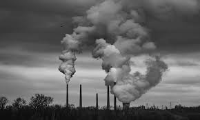 Evolution Markets tweet media