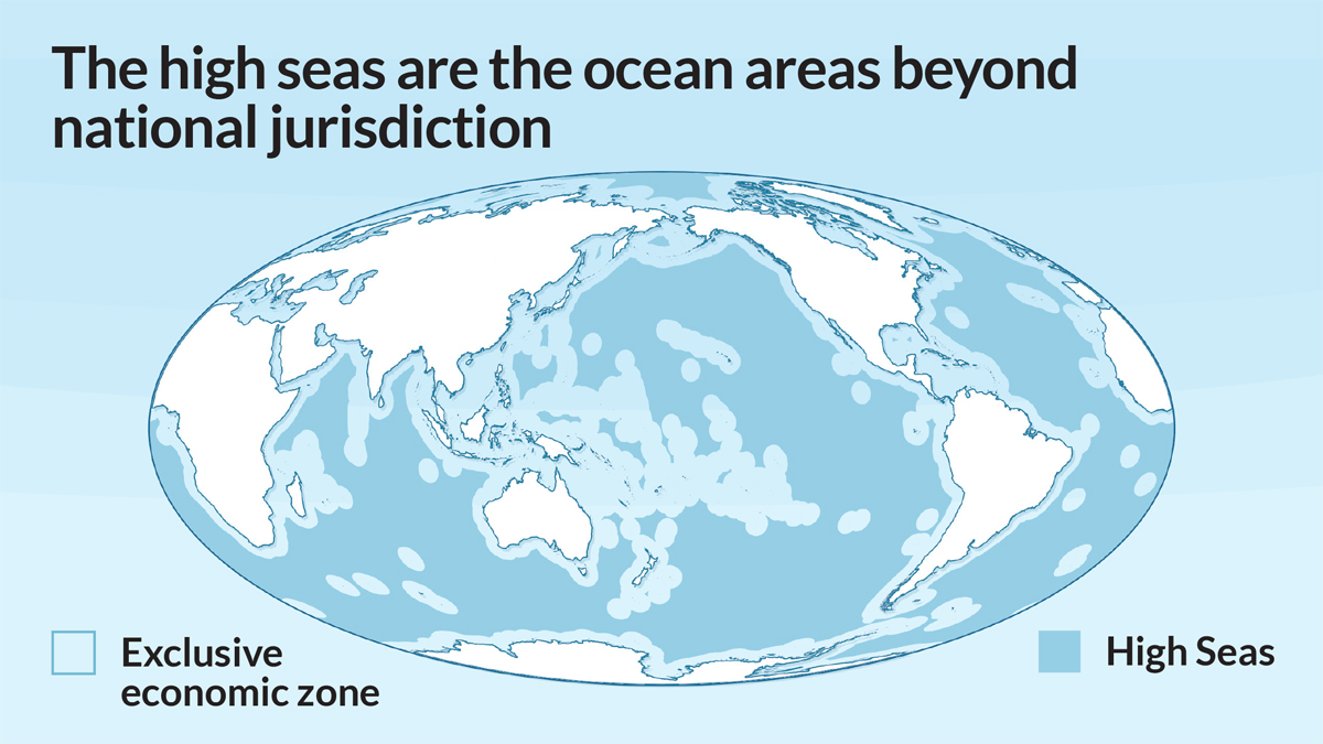 pewenvironment's tweet photo. How does a #HighSeas treaty help protect our ocean?

By supporting the work of regional fisheries management organizations.

THREAD 👇 https://t.co/C26quGGCZa