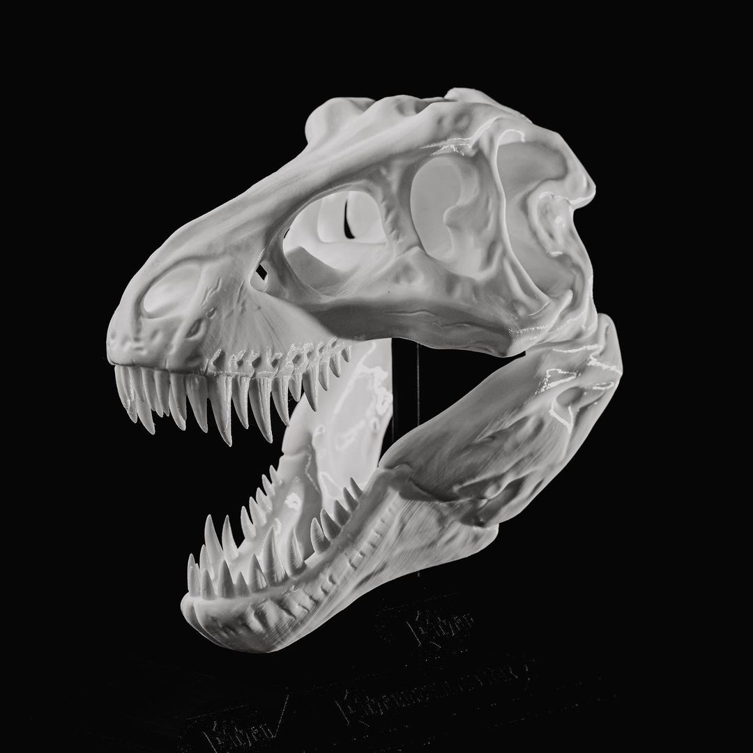 finalprint_xyz's tweet photo. Un cráneo de T-Rex al más puro estilo Jurassic Park.

#Dinosaurio #3Dprinting #JurassicPark  #jurassicworld #zaragoza #3D #emprendimiento #3D #impresion3D  #PLA #ABS #impresora3D #blender #cura #fusion360 #zaragoza #huesca #teruel #aragon https://t.co/NnqxNoL1Lt