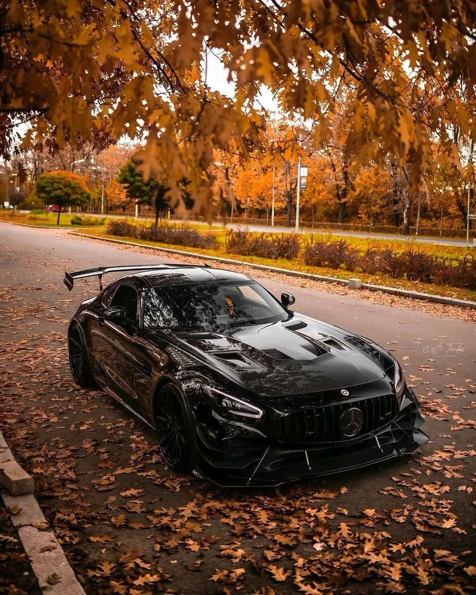 BOTB_Dreamcars's tweet photo. We love a mean looking car here at BOTB 👀 If you owned this car, what would you name it?
📸 Instagram – @qld_a45s_group
#botb #amggtrpro #mercedesamggtr #mercedesfans https://t.co/5stxVvtTjm