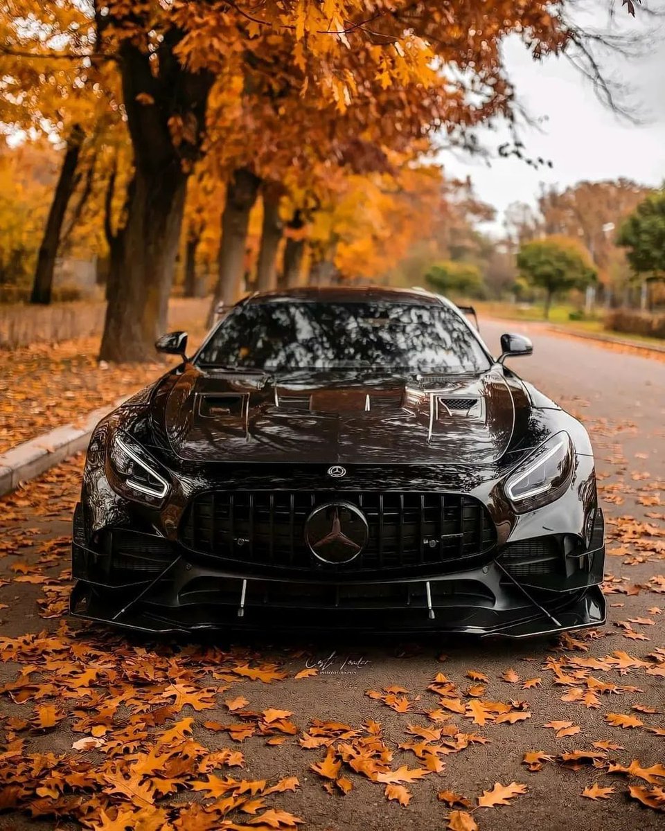 BOTB_Dreamcars's tweet photo. We love a mean looking car here at BOTB 👀 If you owned this car, what would you name it?
📸 Instagram – @qld_a45s_group
#botb #amggtrpro #mercedesamggtr #mercedesfans https://t.co/5stxVvtTjm