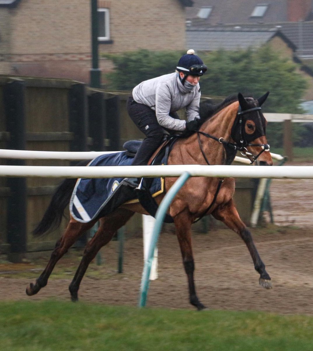 hpalmerracing's tweet photo. SCOT’S GRACE (Mehmas x Ms O’Malley) runs in the 6½f Prix Montenica Listed Race @fgchantilly tomorrow (16th Mar) at 4.20pm under Tony Piccone. Good luck to her owner Bernard Havern @StudUniversal
.
#Mehmas #tallyhostud #poweredbypolroger https://t.co/aSXgmKnaCz