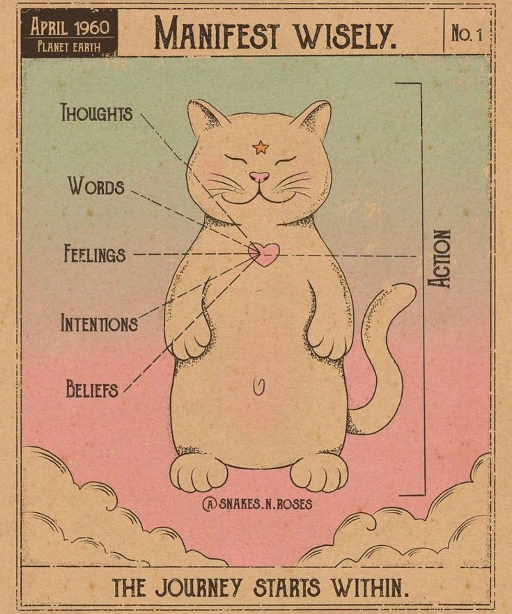 pupupu tweet media