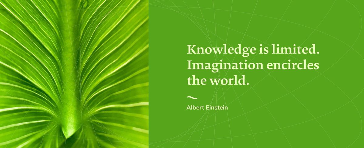 AfieeBlackheart's tweet photo. Knowledge is power but Imagination is the fuel! @TwitchSIE #letsgrowstreamers #smallstreamersconnent #smallstreamer #twitchstreamer #twitchaffiliate https://t.co/vuz4SgcJX1