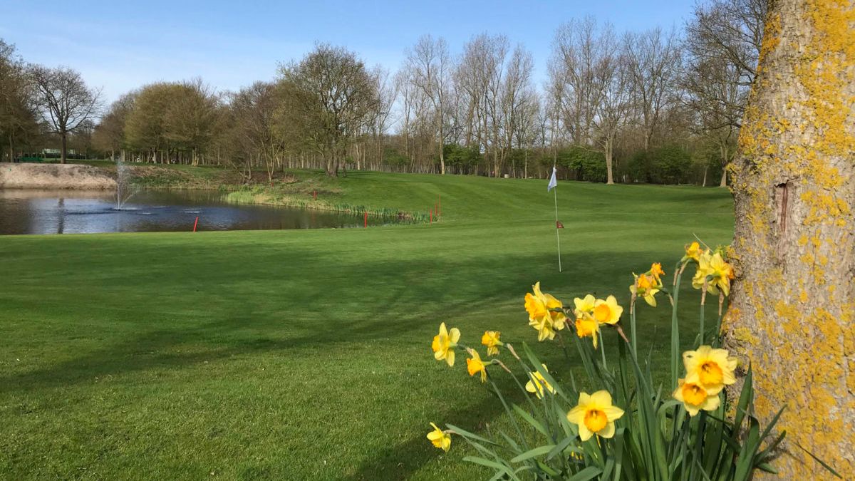 Bestel nu het volledig vernieuwde 'Welkom in golf' boekje. Je kan nu in één oogopslag zien hoe groen, uitdagend, toegankelijk en uniek de sport is! Bestel hem nu via de link: bit.ly/3hy06No