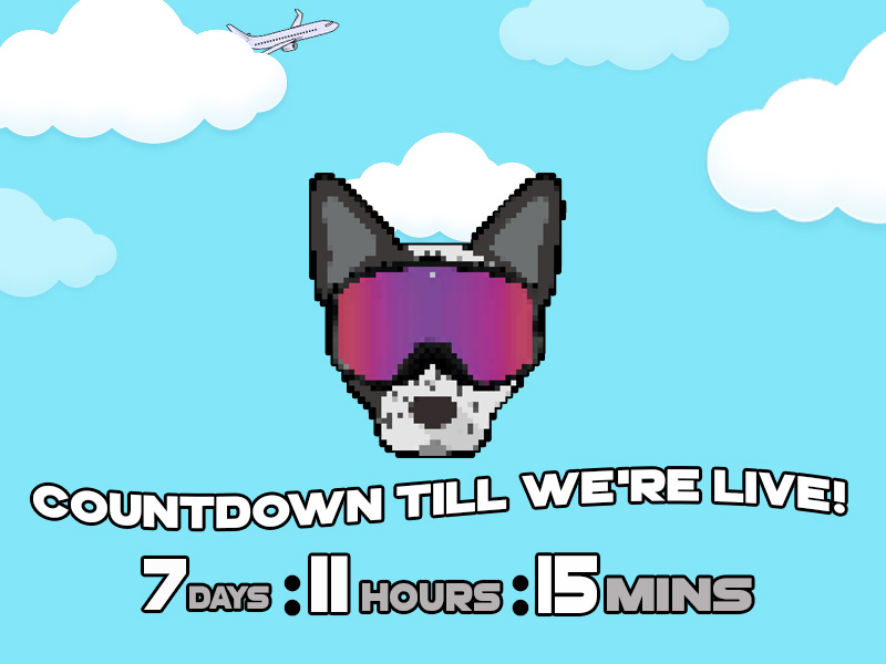 WackyCattle's tweet photo. March 23rd we will finally be Live! Hope to see some new owners and lets help rescue some cattle dogs! #StayWacky #NFT #NFTProject #NFTdrop https://t.co/BOYzQAWQYv