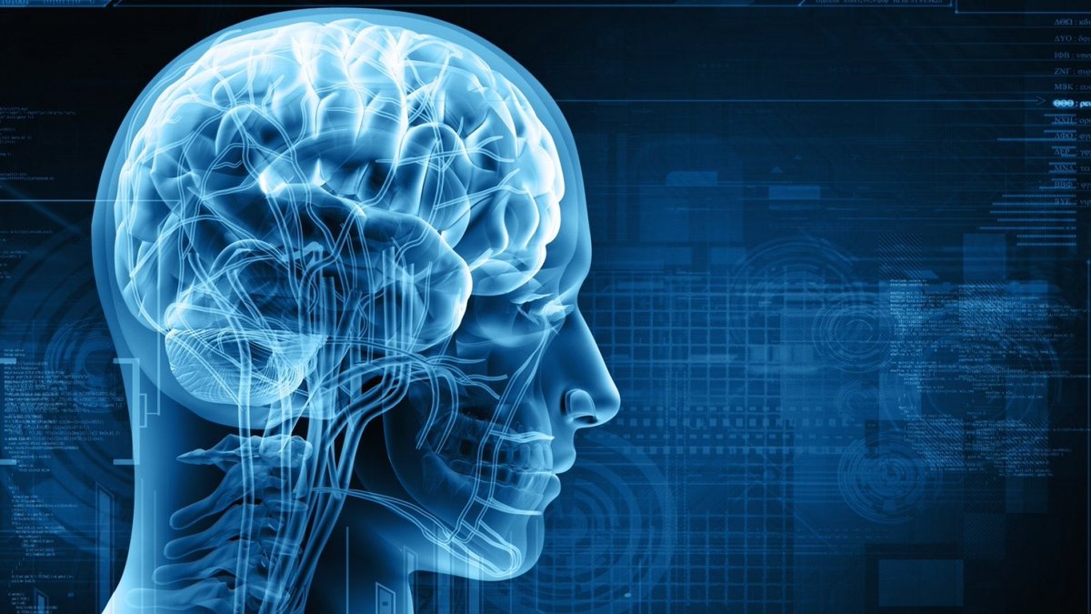 7 مهارات لا تدرس ولكن تدل على ذكاء عاطفي EQ عالي في التعامل مع الاخرين:

1. الاحساس بالوقت
2. فهم المساحة الشخصية للبشر
3. حسن التصرف في المواقف الصعبة
4. فهم وقراءة لغة جسد ووجه الشخص
5. معرفة الوقت المناسب للحديث
6. معرفة الوقت المناسب للصمت
7. قدرة الخروج من المواقف المحرجة