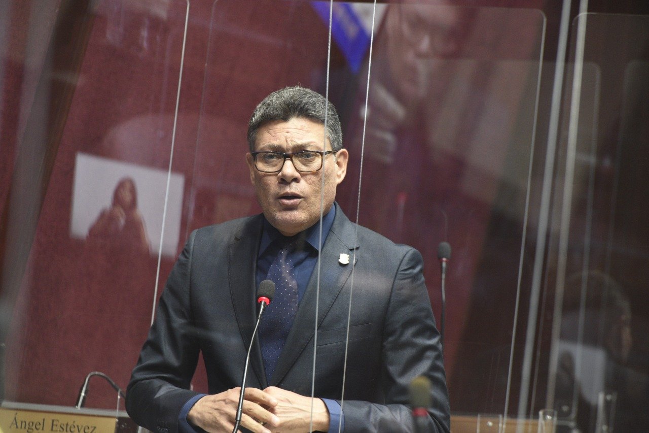 Cámara de Diputados de la República Dominicana on Twitter: "El diputado Danny Guzmán afirma que para reforestar el coco hay que comprarle las semillas a @AgriculturaRD y cada mata cuesta 30 y