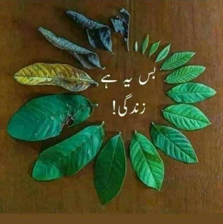 KtnNajeebuddin's tweet photo. https://t.co/Zccr3SFe5M