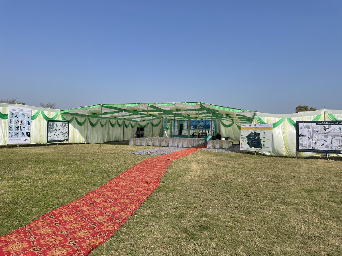 rahul_rohane's tweet photo. Glimpses from Pong Bird Festival 2022 #PongBirdsFestival2022 #WildlifeHimachal #HPForest #PongDamLakeWildlifeSanctuary https://t.co/N9y85IOz7x