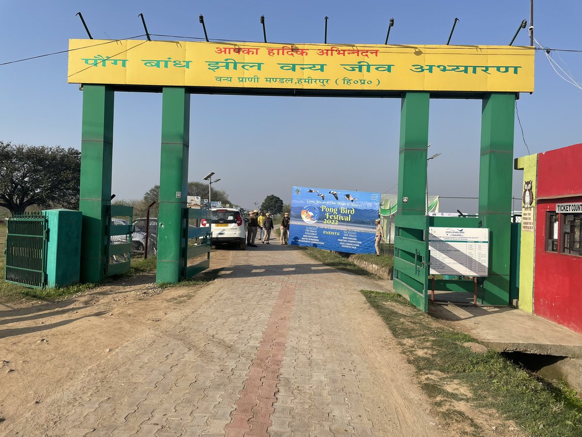 rahul_rohane's tweet photo. Glimpses from Pong Bird Festival 2022 #PongBirdsFestival2022 #WildlifeHimachal #HPForest #PongDamLakeWildlifeSanctuary https://t.co/N9y85IOz7x