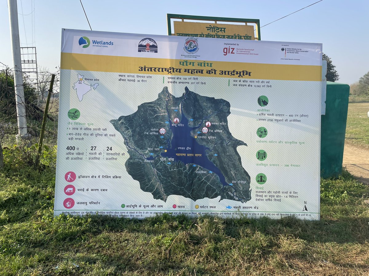 rahul_rohane's tweet photo. Glimpses from Pong Bird Festival 2022 #PongBirdsFestival2022 #WildlifeHimachal #HPForest #PongDamLakeWildlifeSanctuary https://t.co/N9y85IOz7x