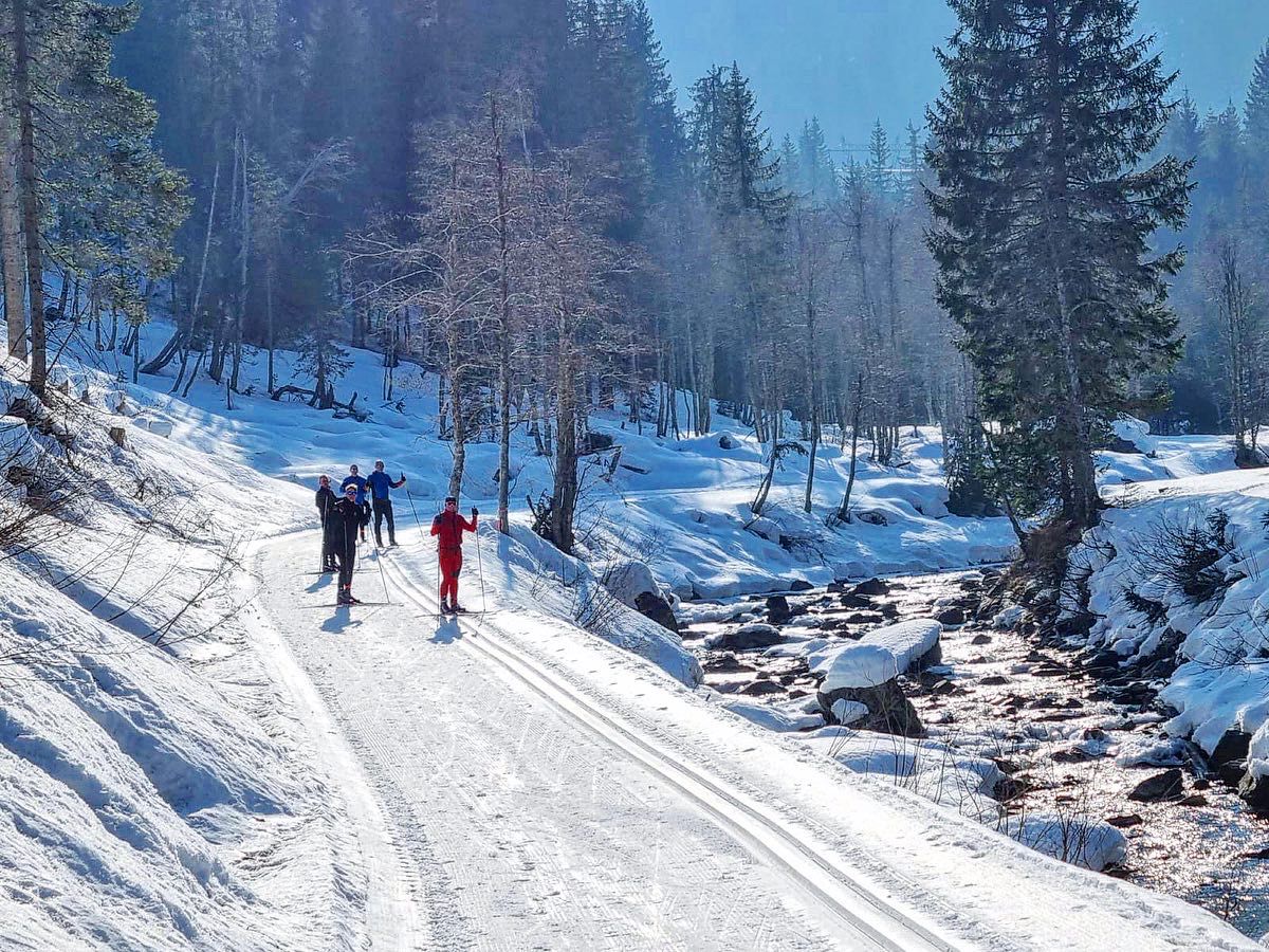 RlcSports's tweet photo. 49 pers (inc 27 novices) from 10 units are taking part in Ex NORDIC KNEES STRETCH in Austria.  If you want to learn something new and have a go, the RLC WSA run overseas trg events to develop you personally and professionally.  Experienced athletes have also gained instr quals. https://t.co/lQ1dlzEjBL