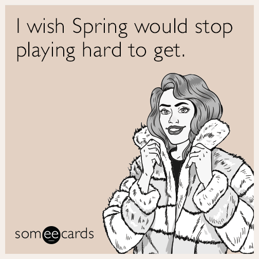 someecards's tweet photo. Someecards The Game is always in season. https://t.co/bUayAYNzfF https://t.co/hhZ8bxO0aK