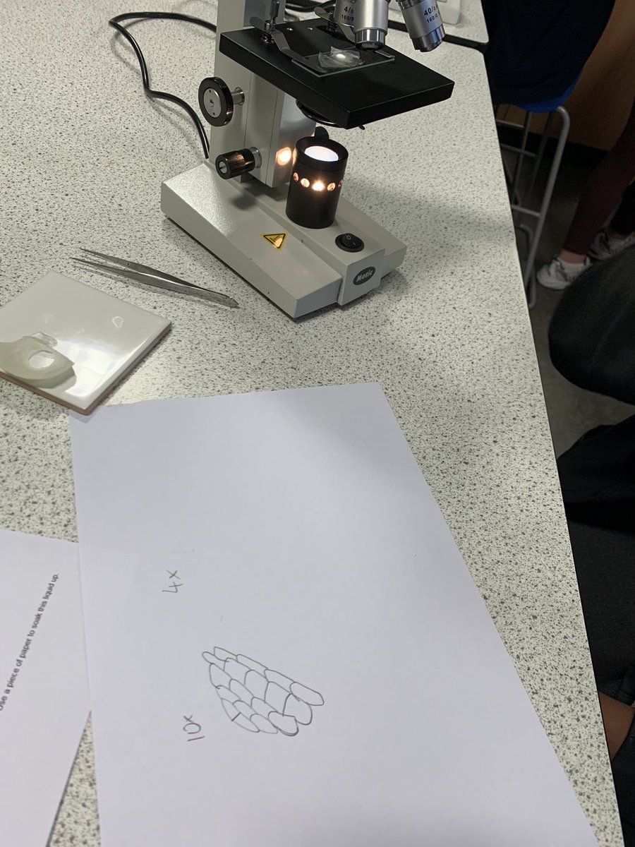 KDScience's tweet photo. It was lovely to see some new faces at our year 12 open evening. We hope you had a lovely night and hope to see you in September #6thformopenevening @KDHSLiverpool https://t.co/WiNhO52hji