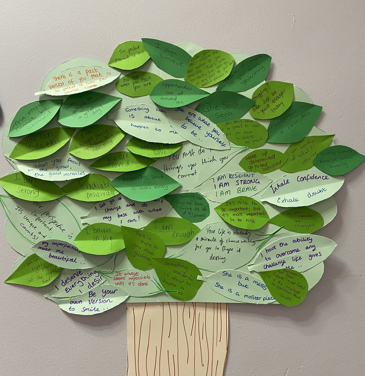 Sophie Mclean tweet media