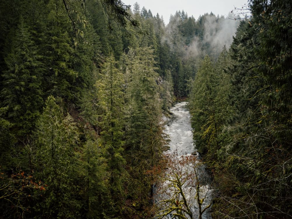 REFBC's tweet photo. The Province of BC's consultation on its 1st Watershed Security Strategy and Fund closes this week.

Submit your feedback by March 18: https://t.co/aX5NhkAJCx #bcpoli https://t.co/kjHdKIsjhl