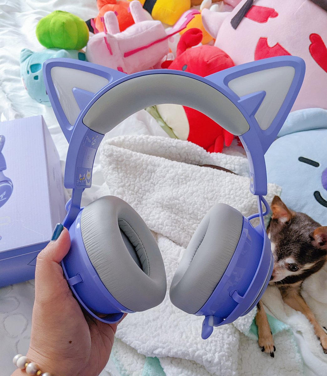 renaleii's tweet photo. my super cute cat ear gaming headsets from @SomicHeadset arrived! im excited to try them out THEYRE SO CUTE ฅ^•ﻌ•^ฅ https://t.co/ROO5y7LyCc