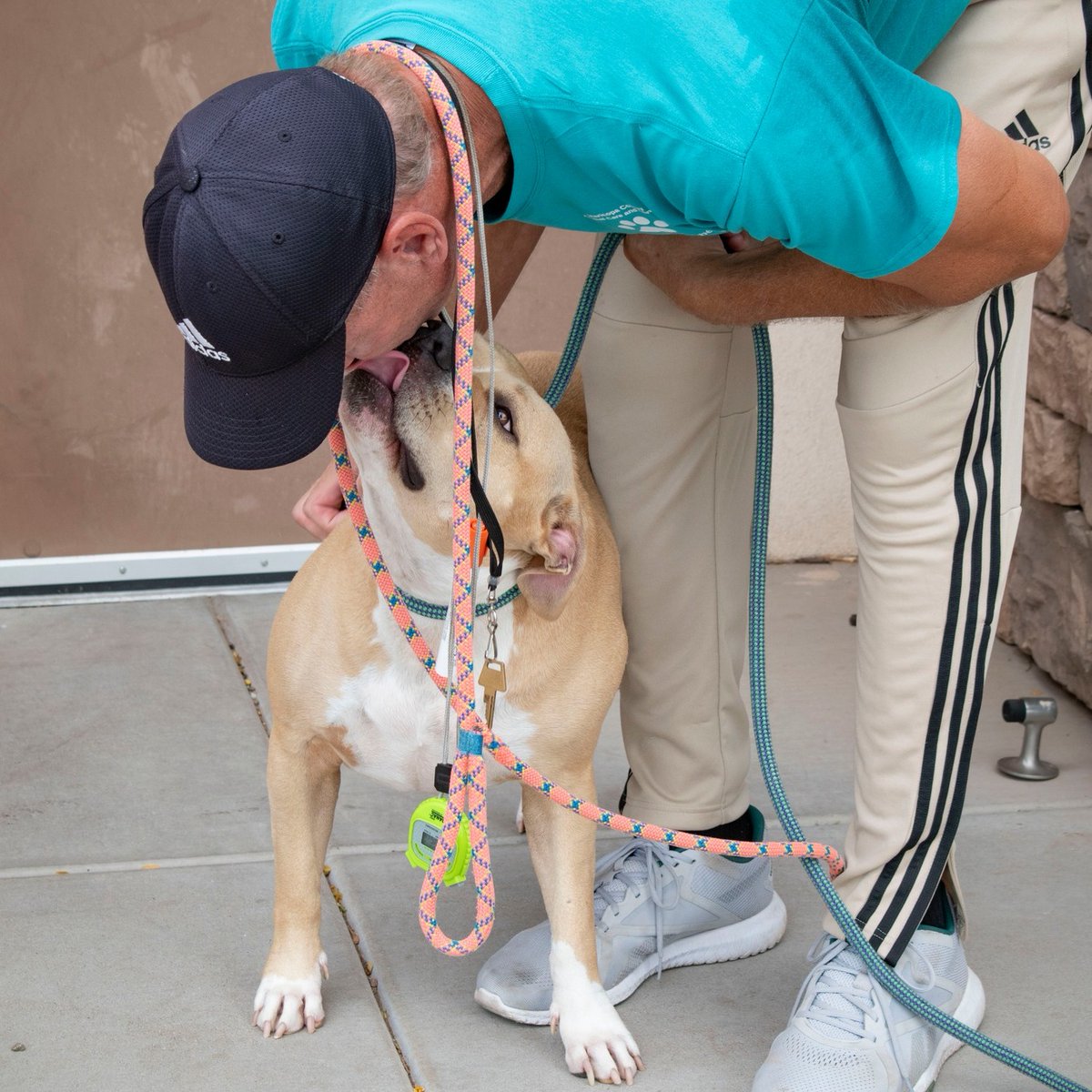 MaricopaPets's tweet photo. From dog-walker to director! We are thrilled to welcome Michael Mendel as the new Maricopa County Animal Care &amp; Control Director! https://t.co/APXHELTBh0