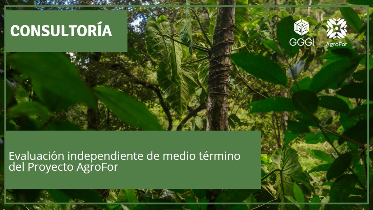 GGGI_Peru's tweet photo. @GGGI_Peru, is looking for an organization or firm to carry out the Mid-Term #Evaluation of the #AgroFor Project, implemented in consortium with @spdaorg and @ICRAF. #consultancy #evidence #data
ToR: https://t.co/7MMKQZcfQW
Closing date: 03 April - 5:00 pm (PE) https://t.co/GfbqJ0ay1d
