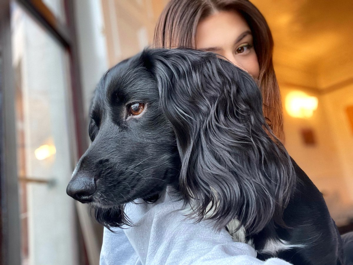 Miss Dodds tweet media