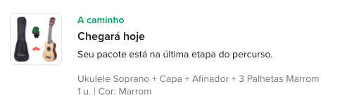 Essa semana faço 33 anos, chegou o momento, não tinha mais como esperar