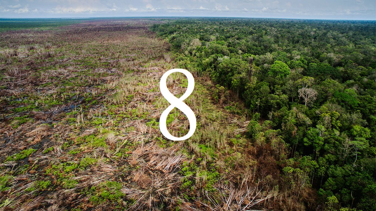 bsc4future's tweet photo. Just 0.7% of the world’s forests are coastal mangroves, y​​​​​​et they store up to 10 times as much carbon per hectare as tropical forests.
 #BSC4F #Crypto #GoGreen #lovetheearth #charity #BNB #earth #greenliving #GoGreen #Altcoin #Blockchain #savetheplanet https://t.co/BFbPYe0Hx1