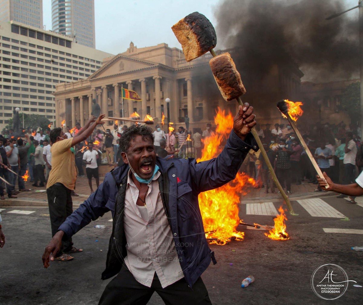 🗣Picture of the Day 

📷: Amitha Thennakoon