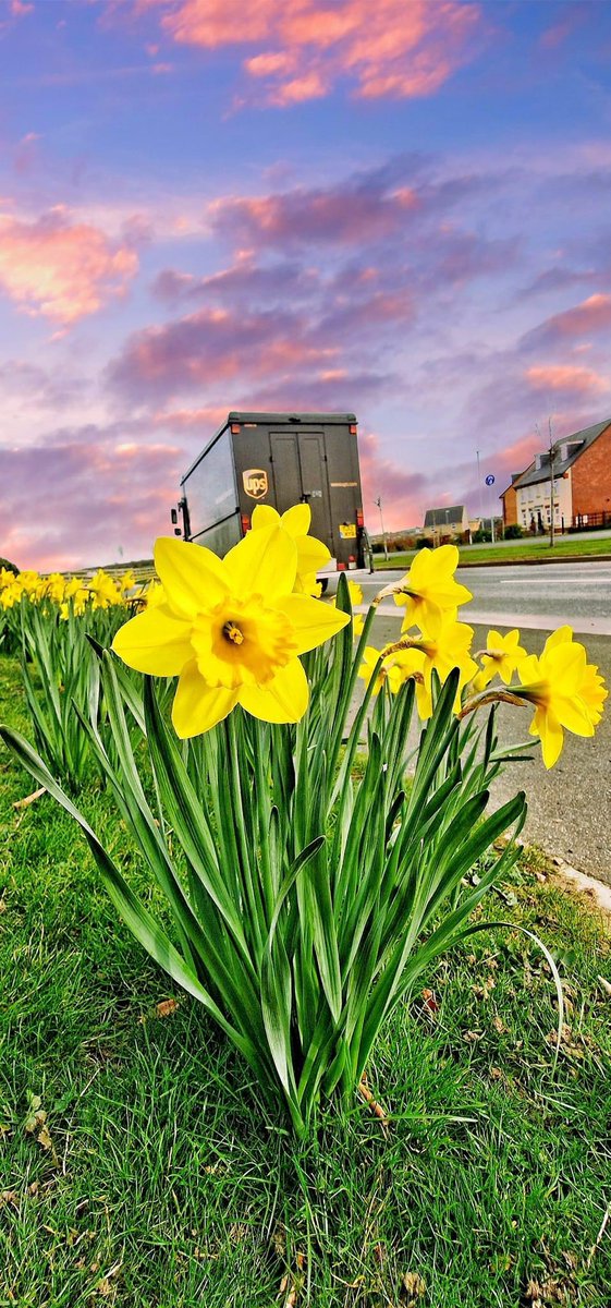 UPS Integrad UK tweet media