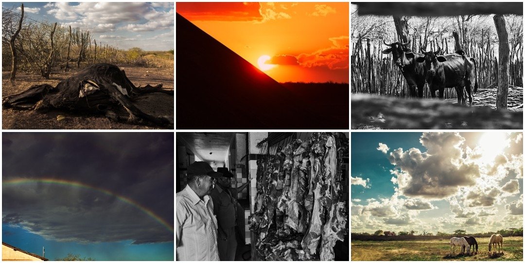 I'm 420.69% dedicated in selling out Where The Strongest are Born

It's a photo documentary about The Sertão on Northeast Brazil and the people who inhabit it.

6/30 available, starting at 0.04 ETH.
I'd be honored to have you as a collector, but your RT can be just as powerful ❤️