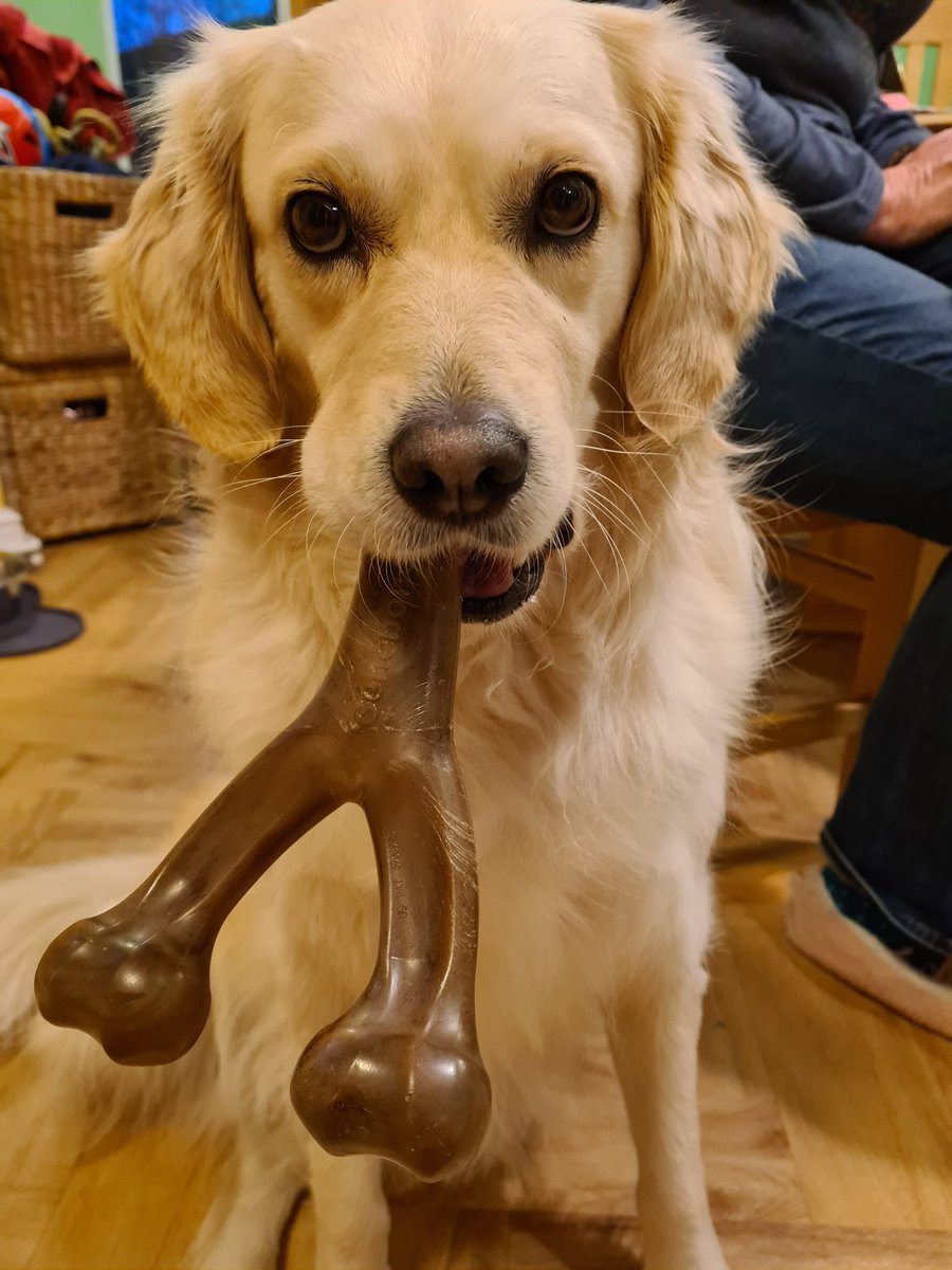 MillieDog12's tweet photo. Got my Benebone. Yum. 😋 https://t.co/QcdC4P3M4w