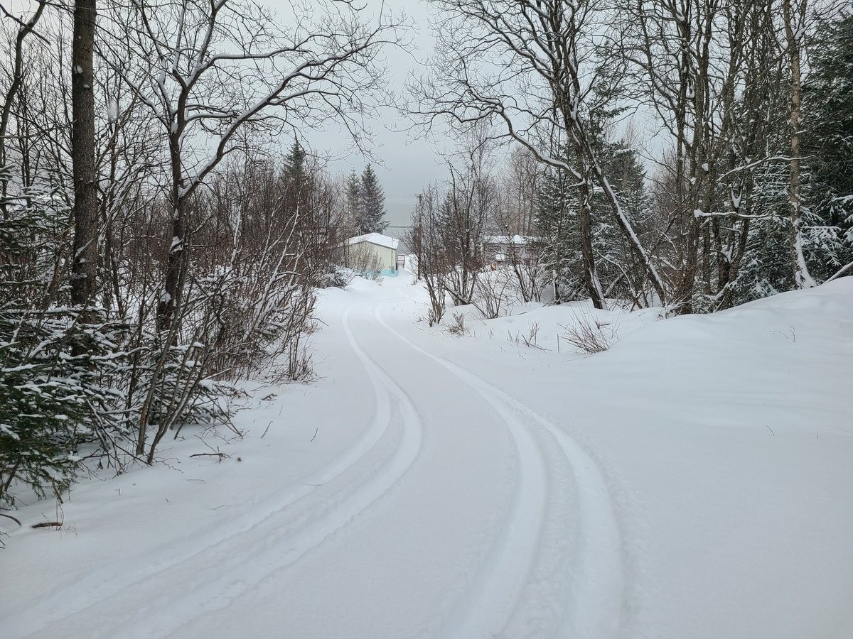 Cocoluces's tweet photo. #Smalltownreporting: interviewee laughs when I don't already know where they live ๐ then describes general directions "oh we're right there."
Haines just created home addresses a few years ago. It's all mentally mapped so well, which I love, but takes time to learn. Here I go! https://t.co/XxGE3W7KEV