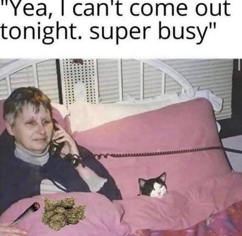 Check out midnightshow.ca to see what’s in stock